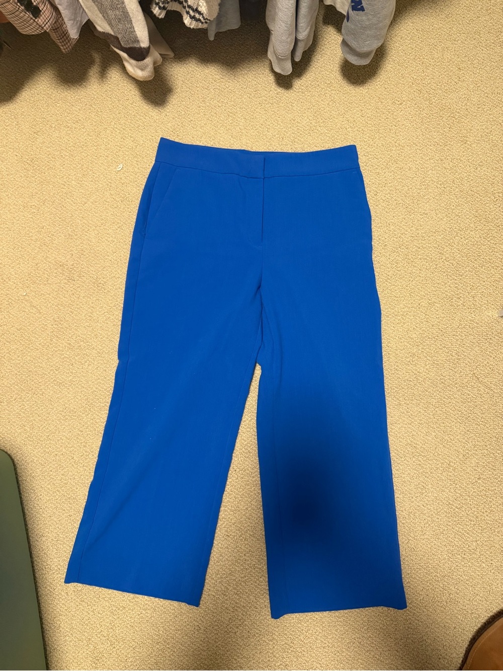 Womens dress pants in blue
